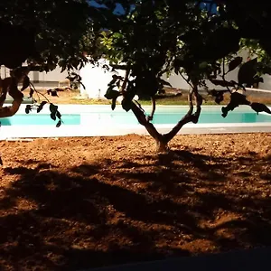 Lemon Gold Villa